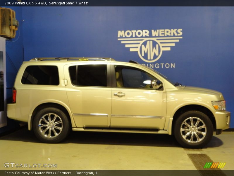 Serengeti Sand / Wheat 2009 Infiniti QX 56 4WD
