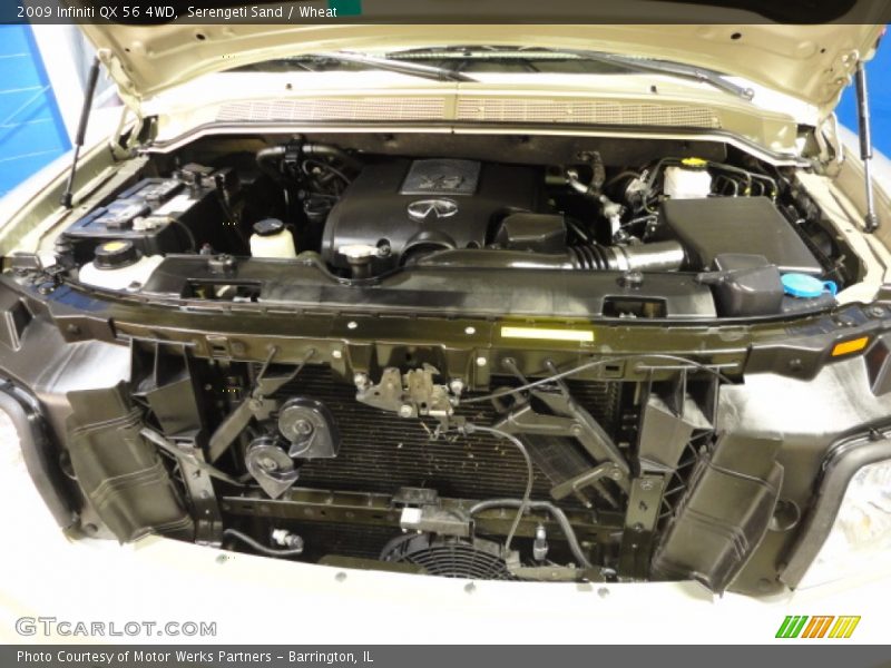 Serengeti Sand / Wheat 2009 Infiniti QX 56 4WD