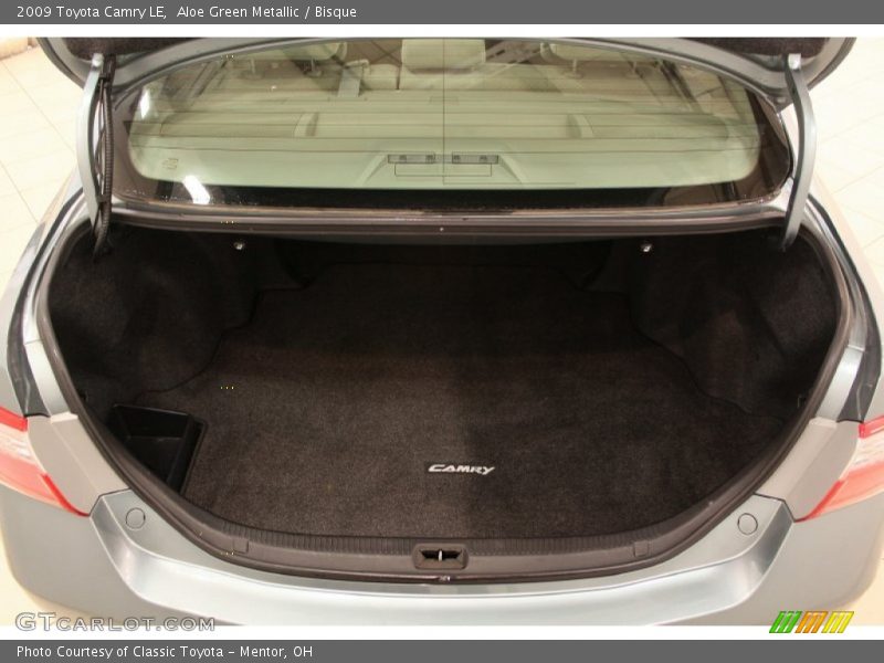 Aloe Green Metallic / Bisque 2009 Toyota Camry LE