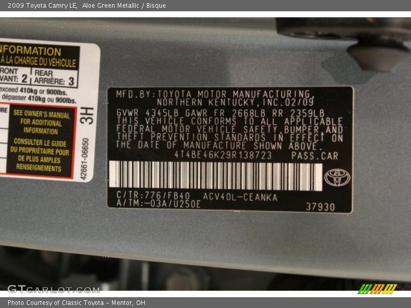 Aloe Green Metallic / Bisque 2009 Toyota Camry LE