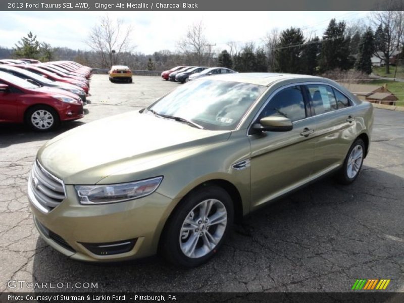 Ginger Ale Metallic / Charcoal Black 2013 Ford Taurus SEL AWD