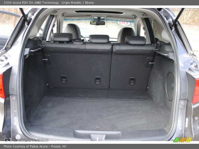 Grigio Metallic / Ebony 2009 Acura RDX SH-AWD Technology