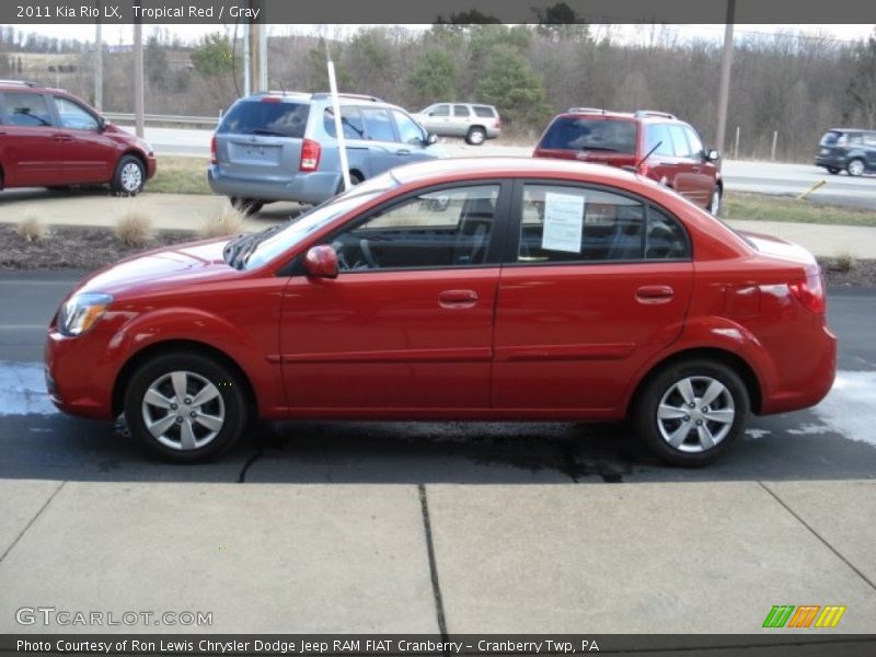 Tropical Red / Gray 2011 Kia Rio LX