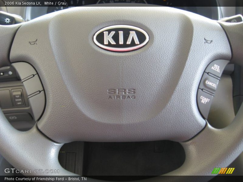 White / Gray 2006 Kia Sedona LX