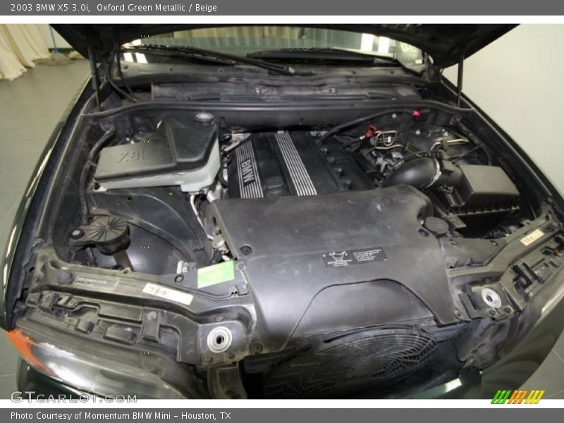 Oxford Green Metallic / Beige 2003 BMW X5 3.0i