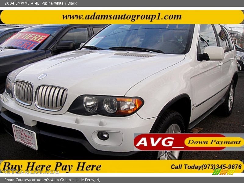 Alpine White / Black 2004 BMW X5 4.4i