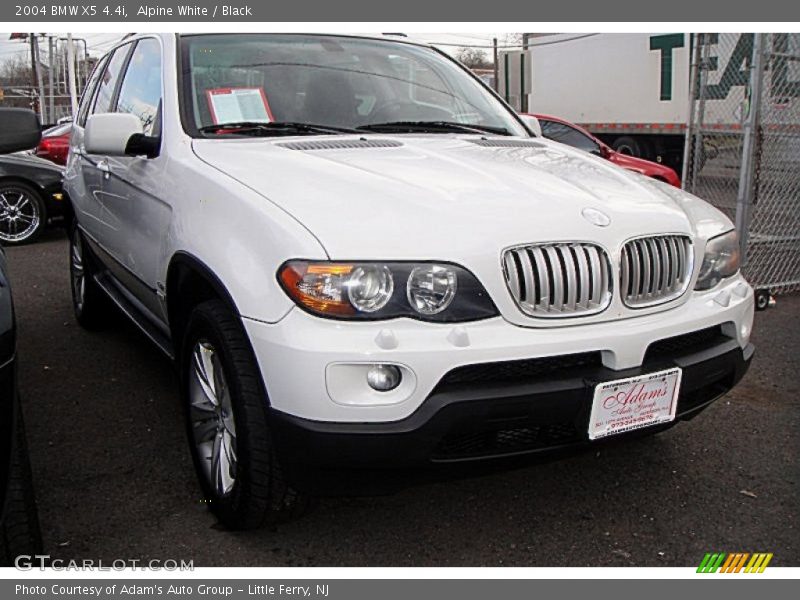 Alpine White / Black 2004 BMW X5 4.4i