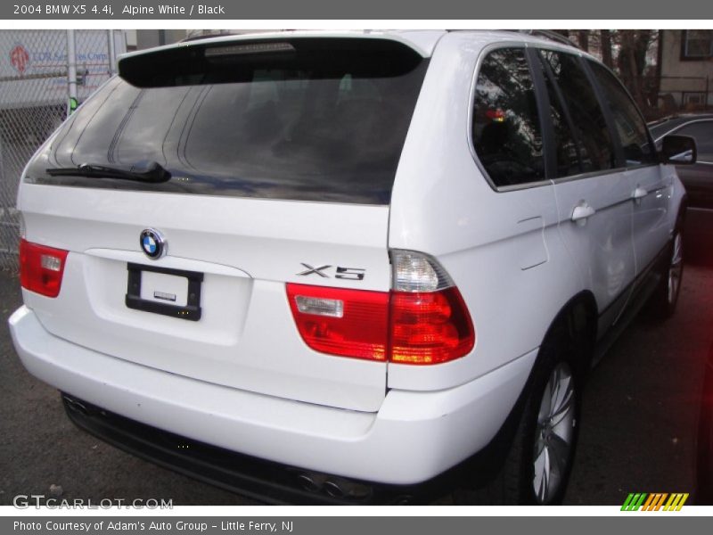 Alpine White / Black 2004 BMW X5 4.4i