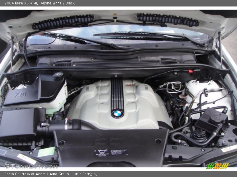 Alpine White / Black 2004 BMW X5 4.4i