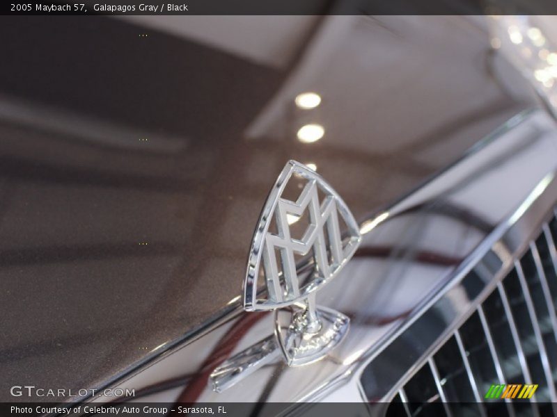 Galapagos Gray / Black 2005 Maybach 57