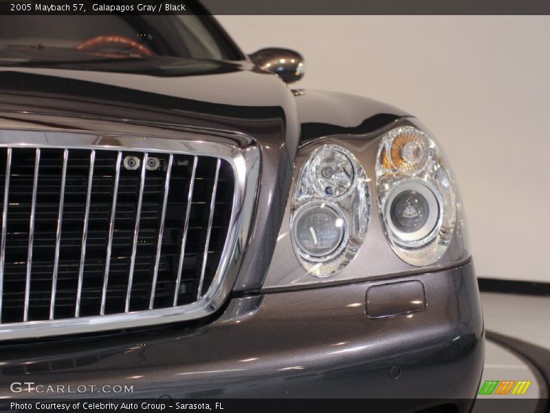 Headlights - 2005 Maybach 57 