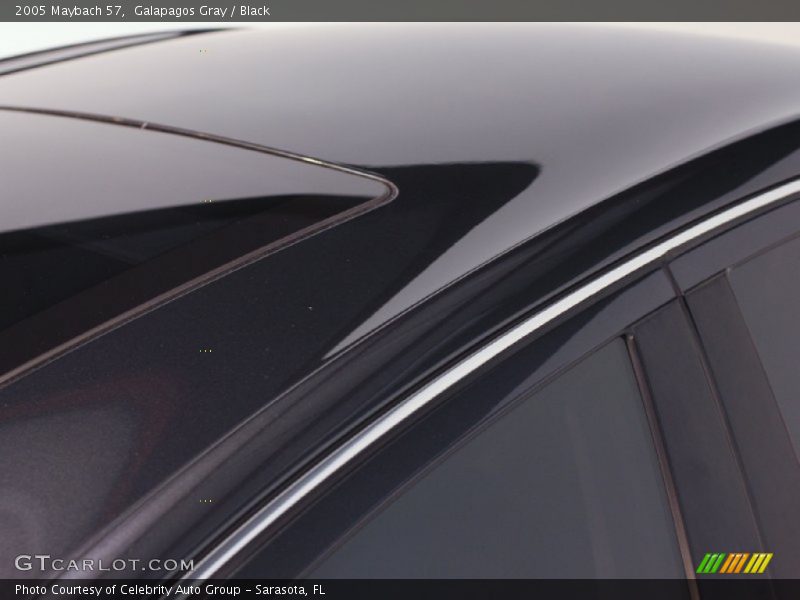 Galapagos Gray / Black 2005 Maybach 57