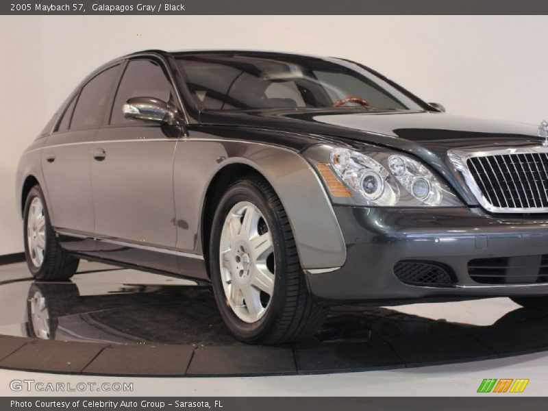 Galapagos Gray / Black 2005 Maybach 57