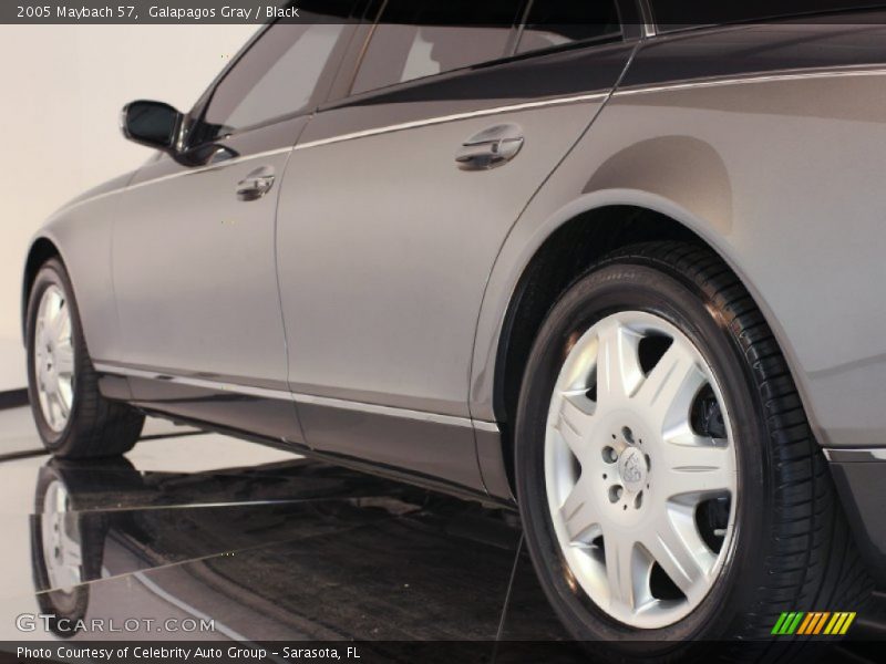 Galapagos Gray / Black 2005 Maybach 57