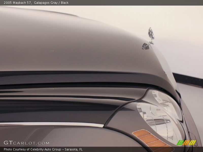 Galapagos Gray / Black 2005 Maybach 57
