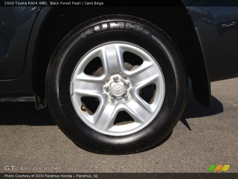 Black Forest Pearl / Sand Beige 2009 Toyota RAV4 4WD