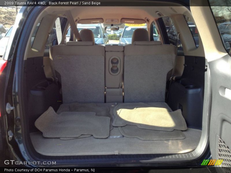 Black Forest Pearl / Sand Beige 2009 Toyota RAV4 4WD