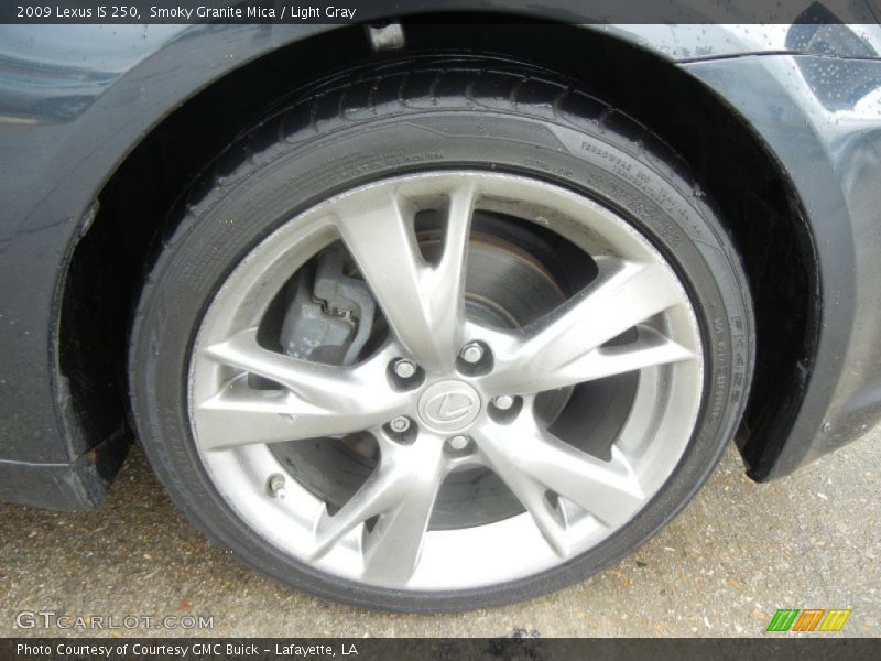 Smoky Granite Mica / Light Gray 2009 Lexus IS 250