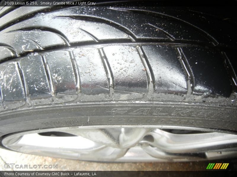 Smoky Granite Mica / Light Gray 2009 Lexus IS 250