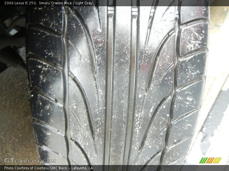 Smoky Granite Mica / Light Gray 2009 Lexus IS 250