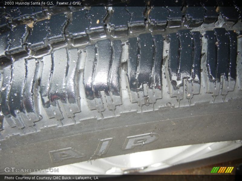 Pewter / Gray 2003 Hyundai Santa Fe GLS