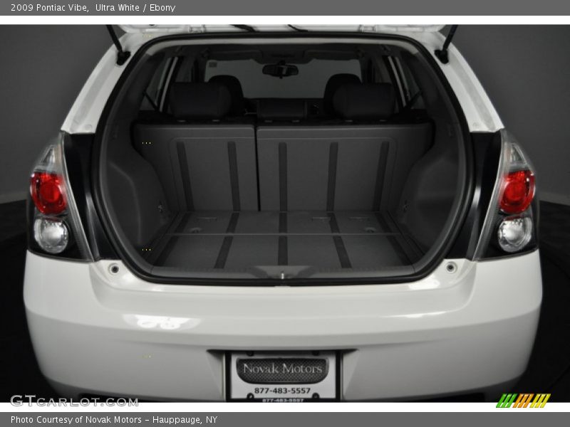 Ultra White / Ebony 2009 Pontiac Vibe