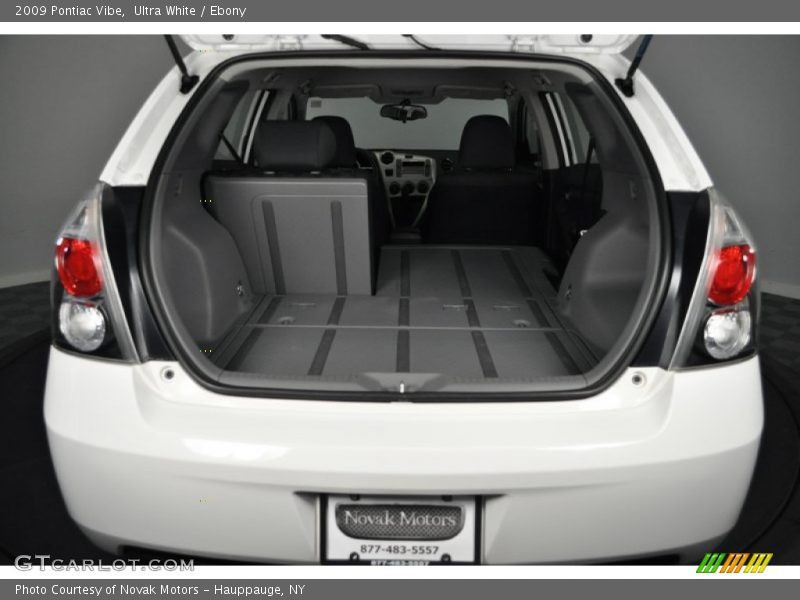 Ultra White / Ebony 2009 Pontiac Vibe