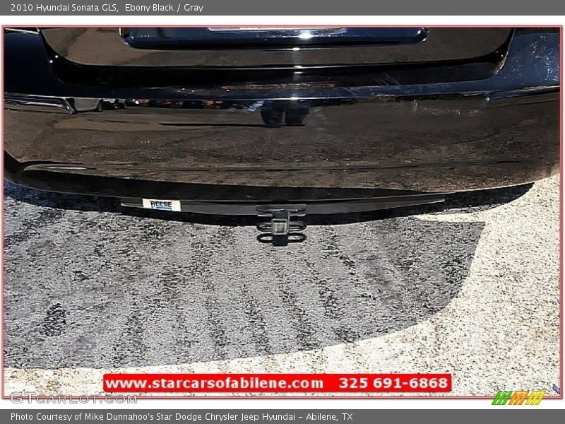 Ebony Black / Gray 2010 Hyundai Sonata GLS