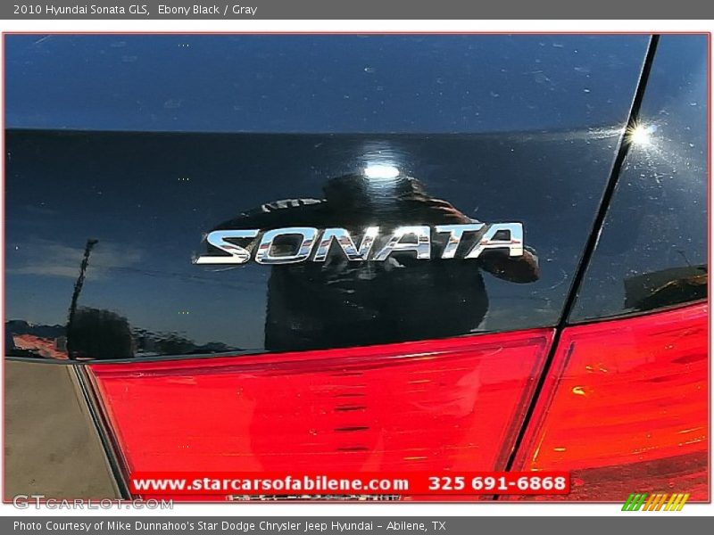 Ebony Black / Gray 2010 Hyundai Sonata GLS