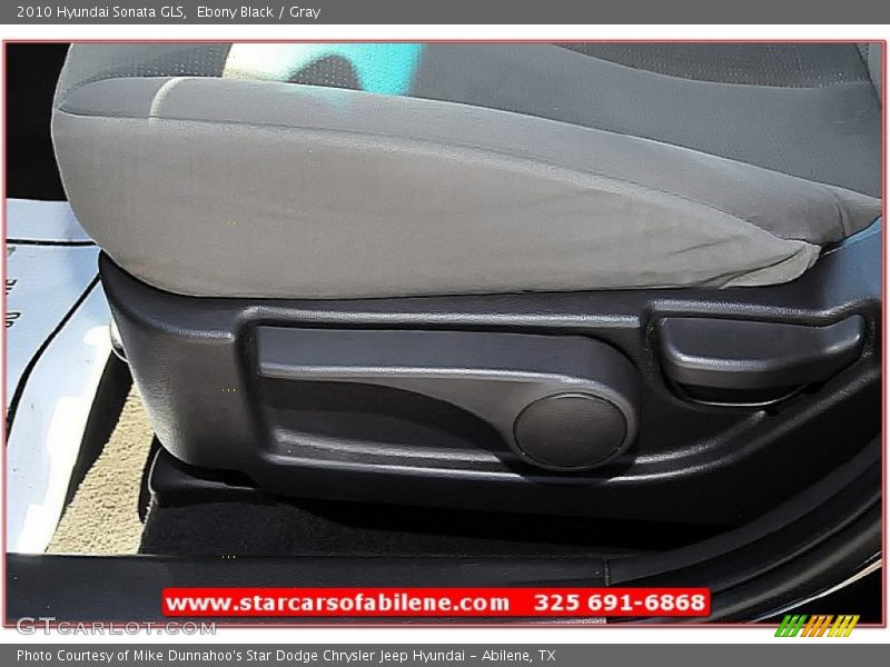 Ebony Black / Gray 2010 Hyundai Sonata GLS