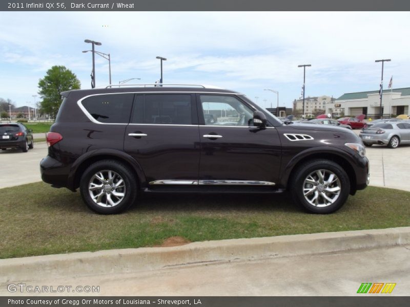 Dark Currant / Wheat 2011 Infiniti QX 56