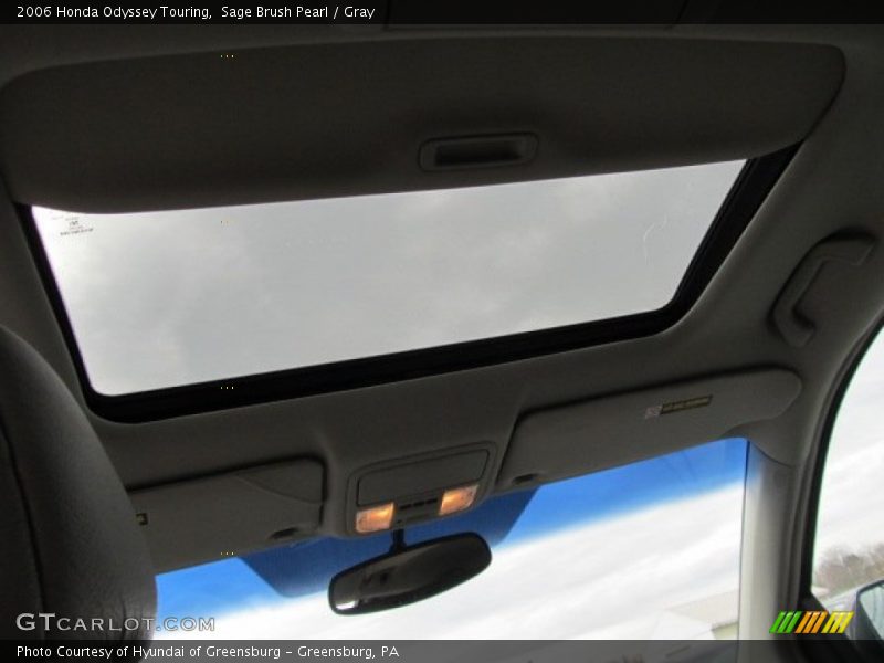 Sage Brush Pearl / Gray 2006 Honda Odyssey Touring
