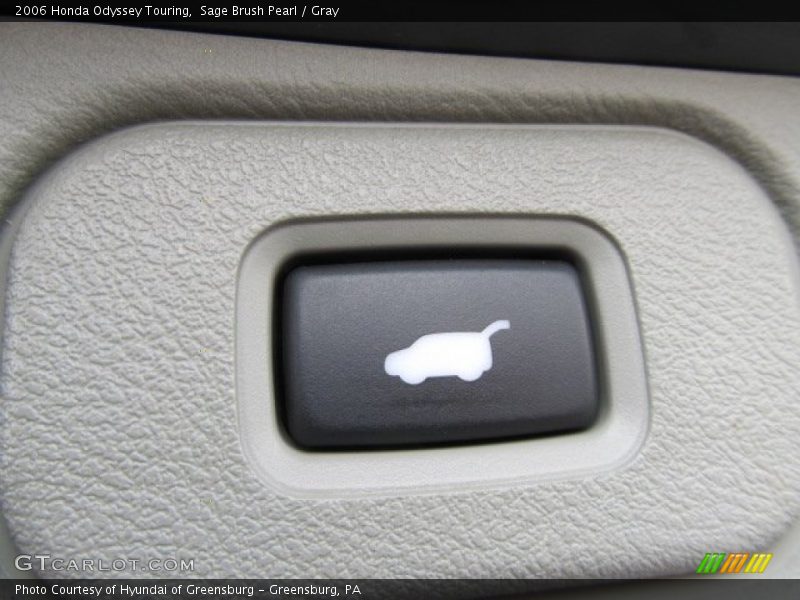 Sage Brush Pearl / Gray 2006 Honda Odyssey Touring
