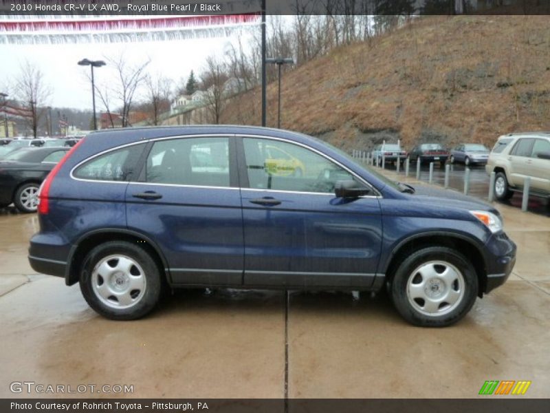Royal Blue Pearl / Black 2010 Honda CR-V LX AWD