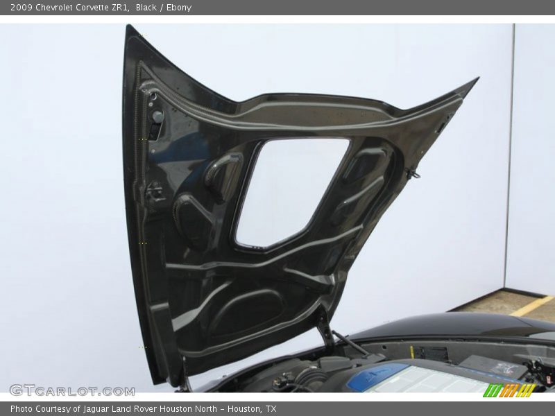 Hood - 2009 Chevrolet Corvette ZR1