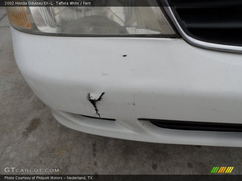 Taffeta White / Fern 2002 Honda Odyssey EX-L