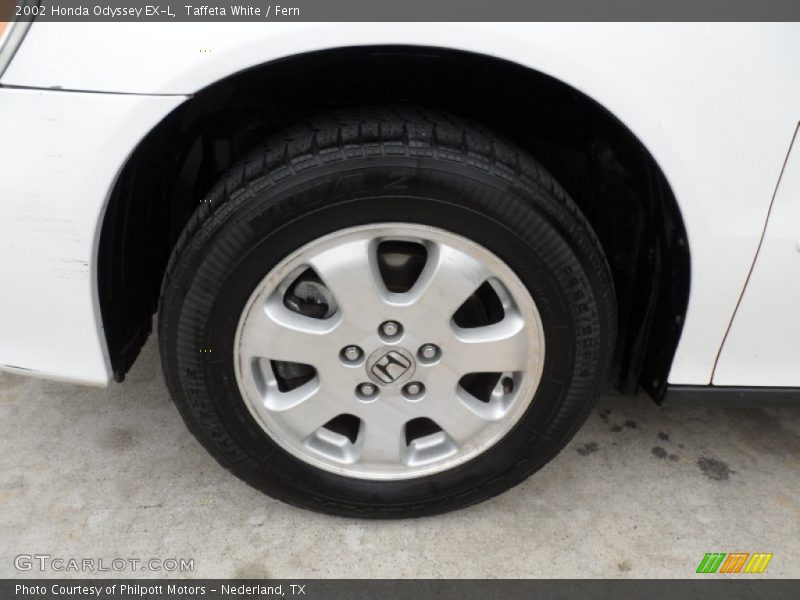 Taffeta White / Fern 2002 Honda Odyssey EX-L
