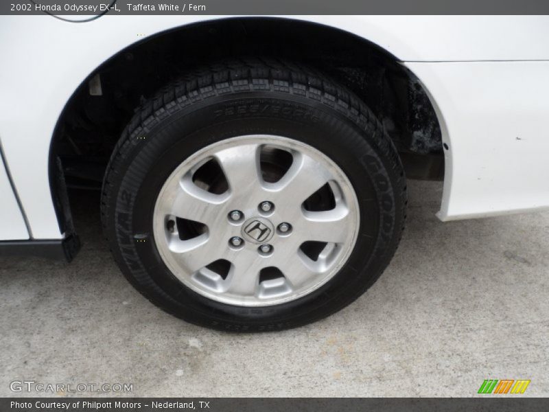 Taffeta White / Fern 2002 Honda Odyssey EX-L