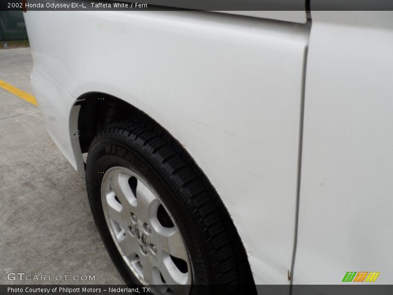 Taffeta White / Fern 2002 Honda Odyssey EX-L