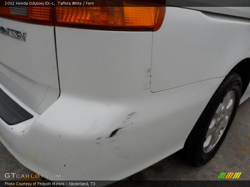 Taffeta White / Fern 2002 Honda Odyssey EX-L