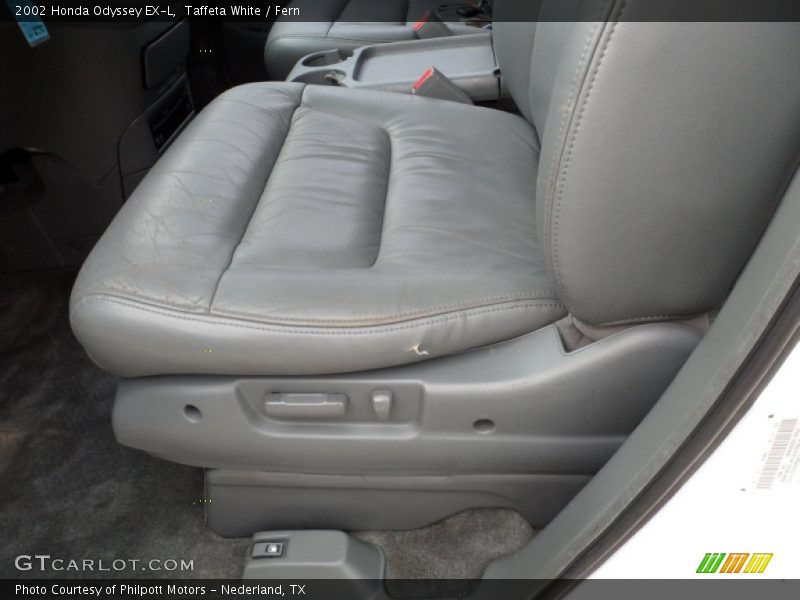 Taffeta White / Fern 2002 Honda Odyssey EX-L