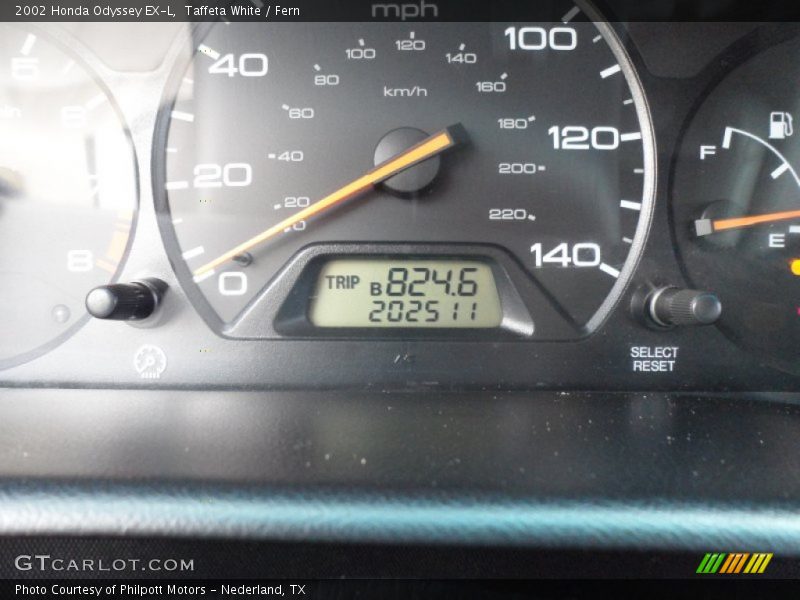 Taffeta White / Fern 2002 Honda Odyssey EX-L
