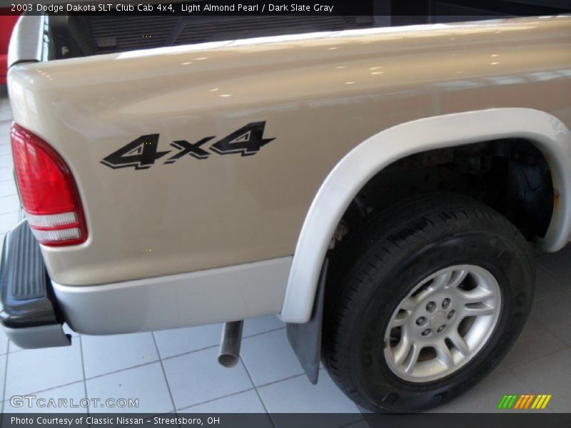 Light Almond Pearl / Dark Slate Gray 2003 Dodge Dakota SLT Club Cab 4x4
