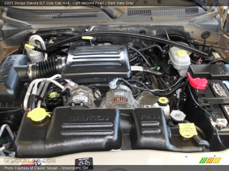 Light Almond Pearl / Dark Slate Gray 2003 Dodge Dakota SLT Club Cab 4x4
