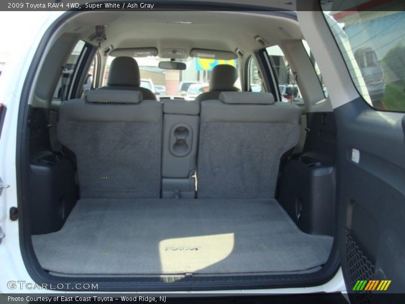 Super White / Ash Gray 2009 Toyota RAV4 4WD