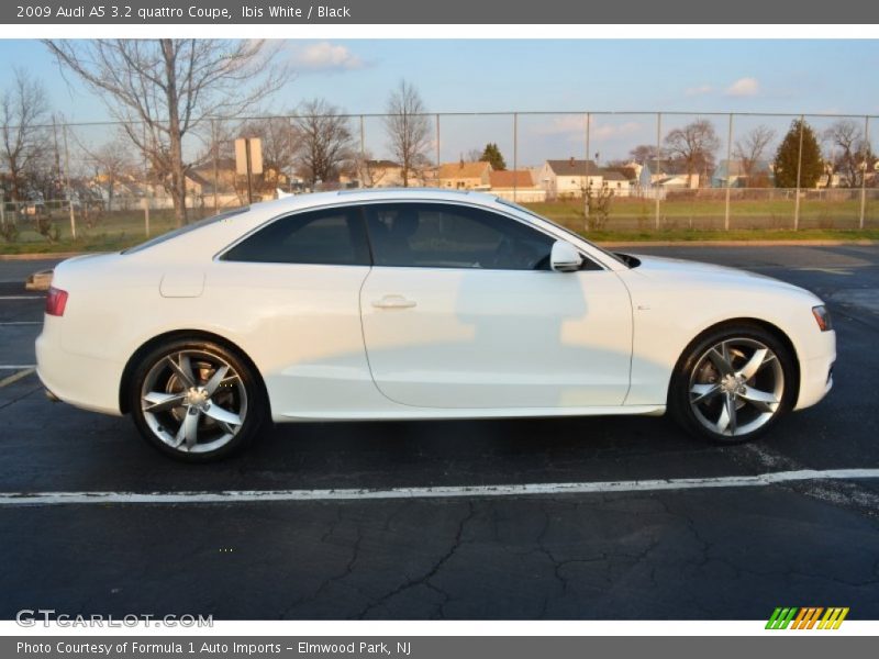 Ibis White / Black 2009 Audi A5 3.2 quattro Coupe