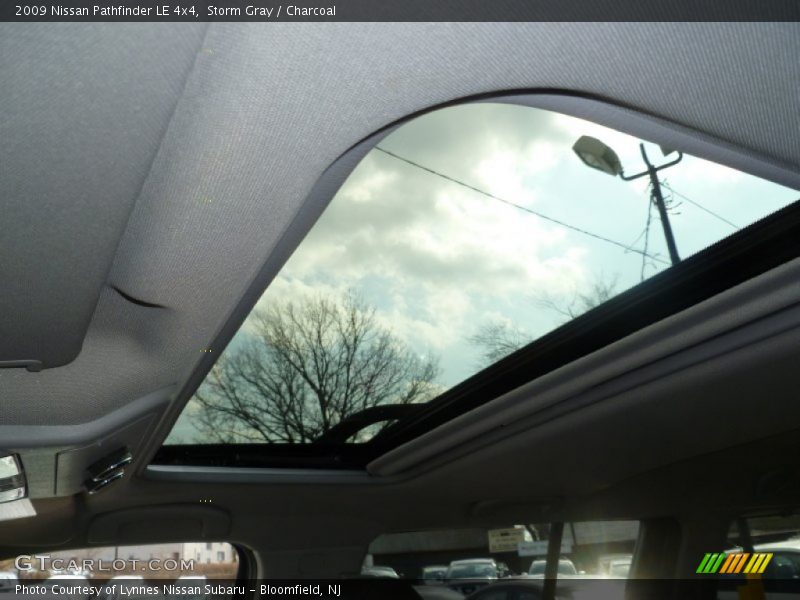 Storm Gray / Charcoal 2009 Nissan Pathfinder LE 4x4