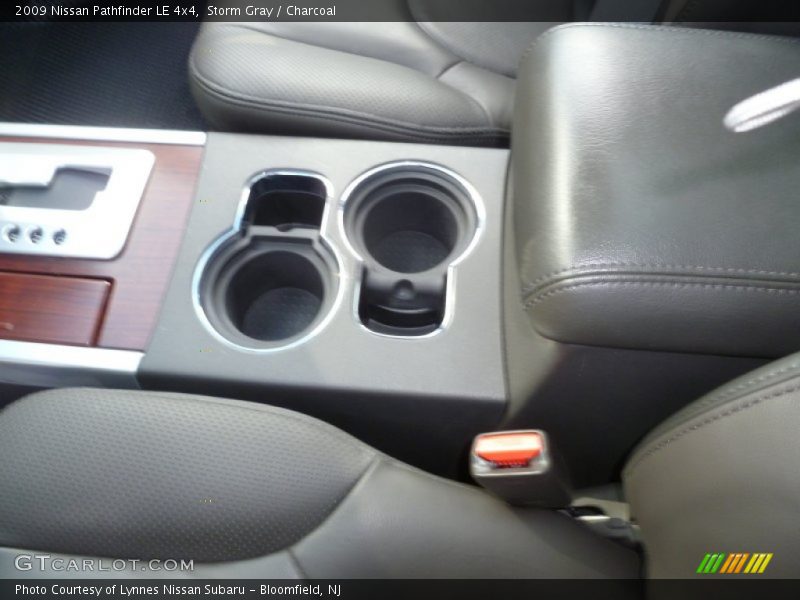 Storm Gray / Charcoal 2009 Nissan Pathfinder LE 4x4