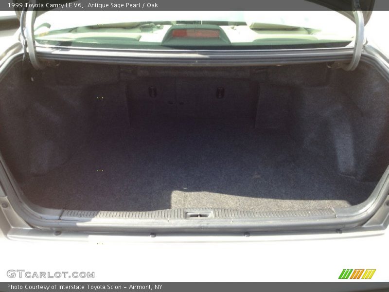 Antique Sage Pearl / Oak 1999 Toyota Camry LE V6