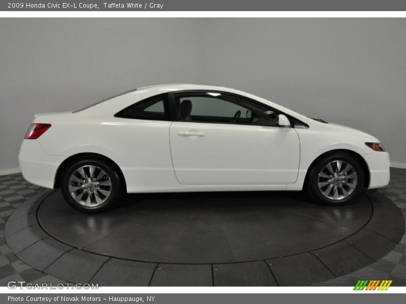 Taffeta White / Gray 2009 Honda Civic EX-L Coupe